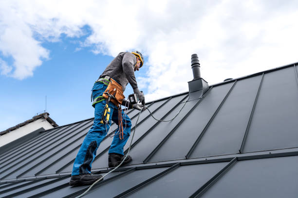 Best Roof Moss and Algae Removal  in Gridley, CA